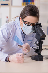 Similar image 20193729