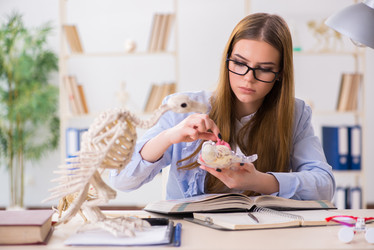 Similar image 20193745