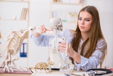 Similar image 20193751