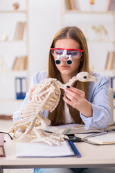 Similar image 20193761