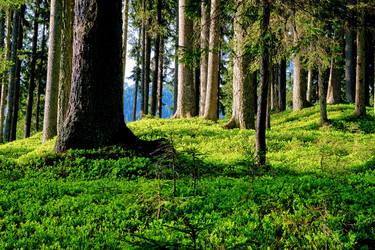 Similar image 20193459