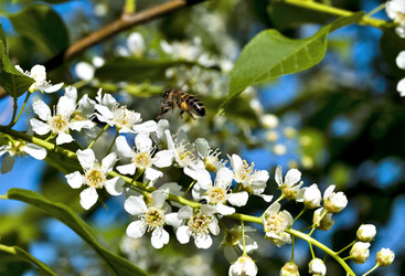 Similar image 20193051