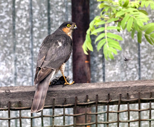 Similar image 20193052