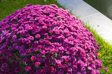 Similar image 20194169