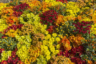 Similar image 20194231