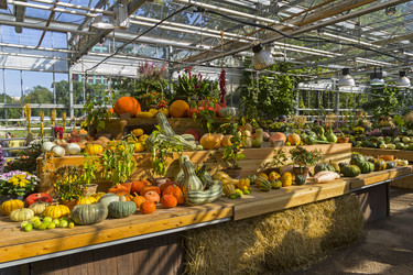 Similar image 20194271