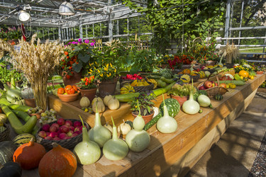 Similar image 20194272