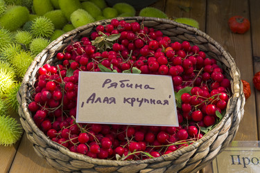 Similar image 20194290