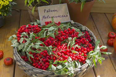 Similar image 20194520