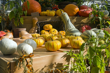 Similar image 20194522