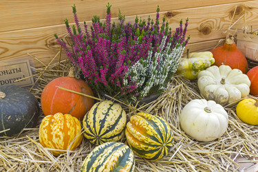 Similar image 20194548