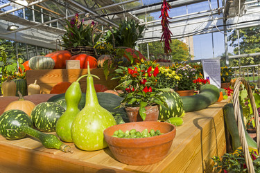 Similar image 20194549