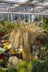 Similar image 20194574