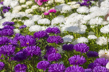 Similar image 20194586