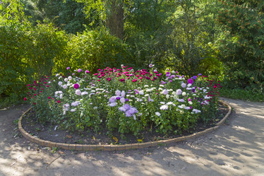 Similar image 20194593