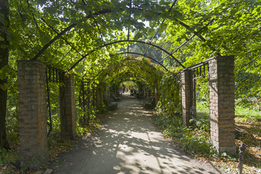 Similar image 20194594