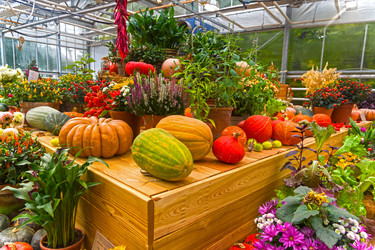 Similar image 20194635