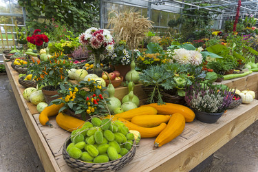 Similar image 20194660