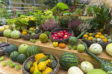 Similar image 20194669