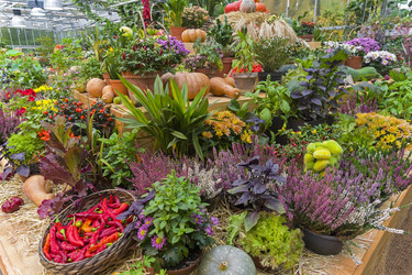 Similar image 20194720