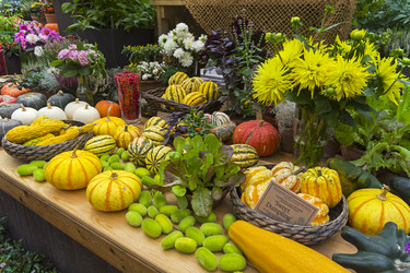 Similar image 20194754