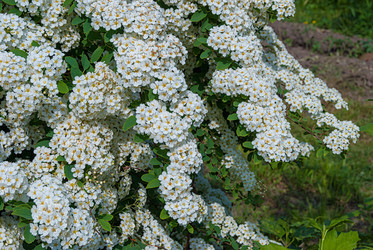 Similar image 20194081