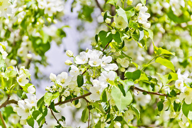 Similar image 20194395