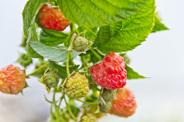 Similar image 20194397