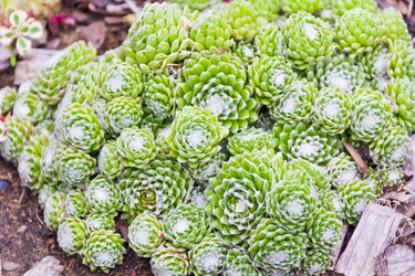 Similar image 20194437