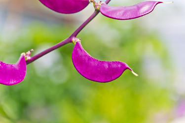 Similar image 20194440