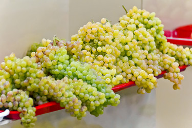 Similar image 20194449