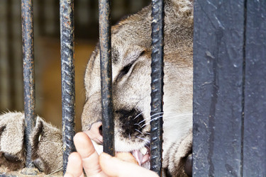 Similar image 20194460