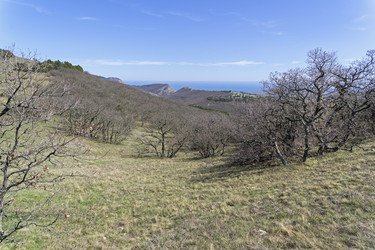 Similar image 20194472