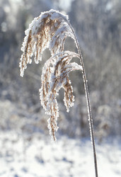 Similar image 20225571