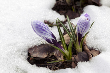 Similar image 20227897