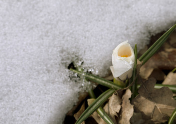 Similar image 20225757