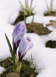 Similar image 20225677