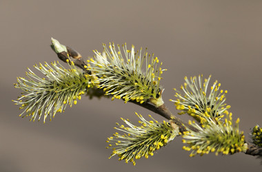 Similar image 20225716