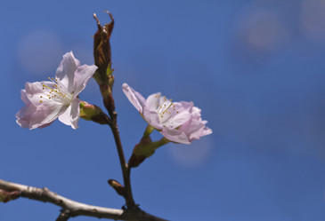 Similar image 20225718