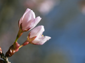 Similar image 20225809