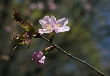 Similar image 20225951