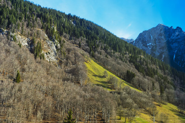 Similar image 20196310