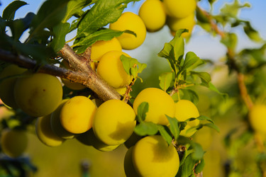 Similar image 20196820