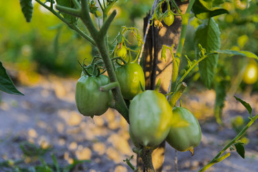 Similar image 20196887