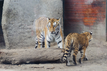 Similar image 20195638