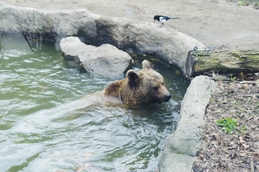 Similar image 20195641