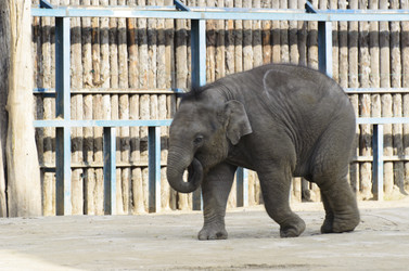 Similar image 20195644