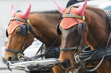 Similar image 20195655