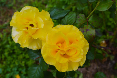 Similar image 20195645