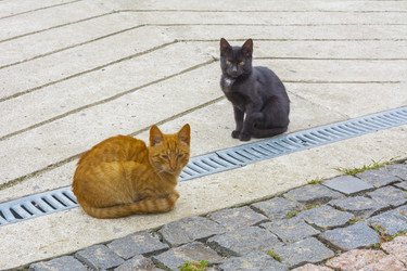 Similar image 20195646